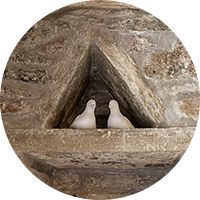 Our_History_3